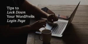 Protect the Login Page in WordPress