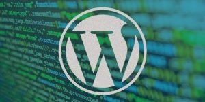 wordpress plugin security